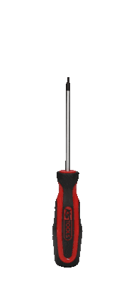 402316522-1 SURUBELNITA T8 TORX - imagine 1