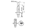 BEC FAR H1 55W 12V VISION (blister) PHILIPS - imagine 3
