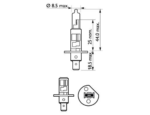 BEC FAR H1 55W 12V LONGER LIFE ECOVISION PHILIPS - imagine 2